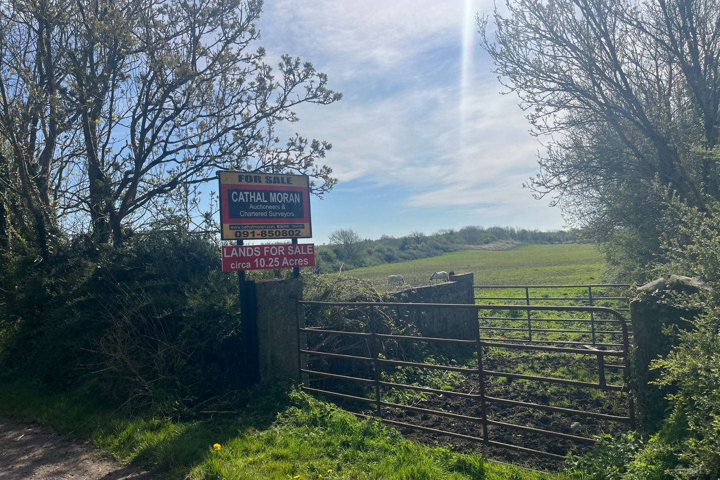 Pollnabanny  , Athenry, Co. Galway