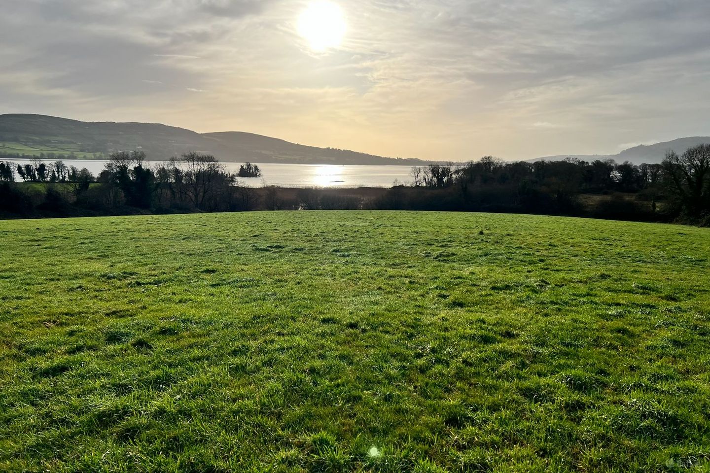 Land , Carrowgar , Ogonnelloe, Annacarriga, Co. Clare, V94V9T8