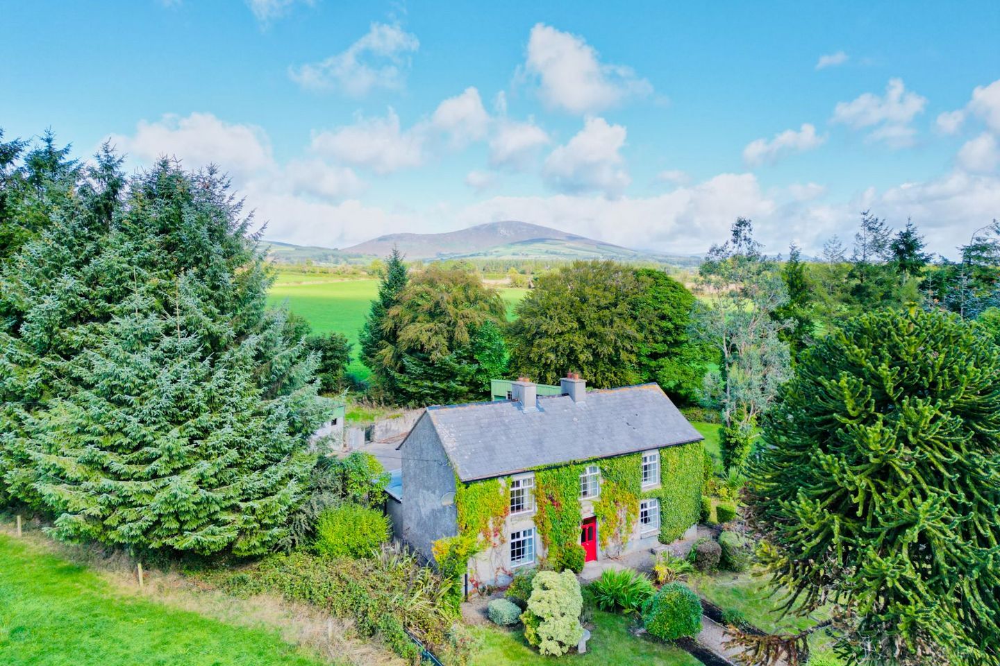 Monamolin, Rathnure, Co. Wexford, Y21T253