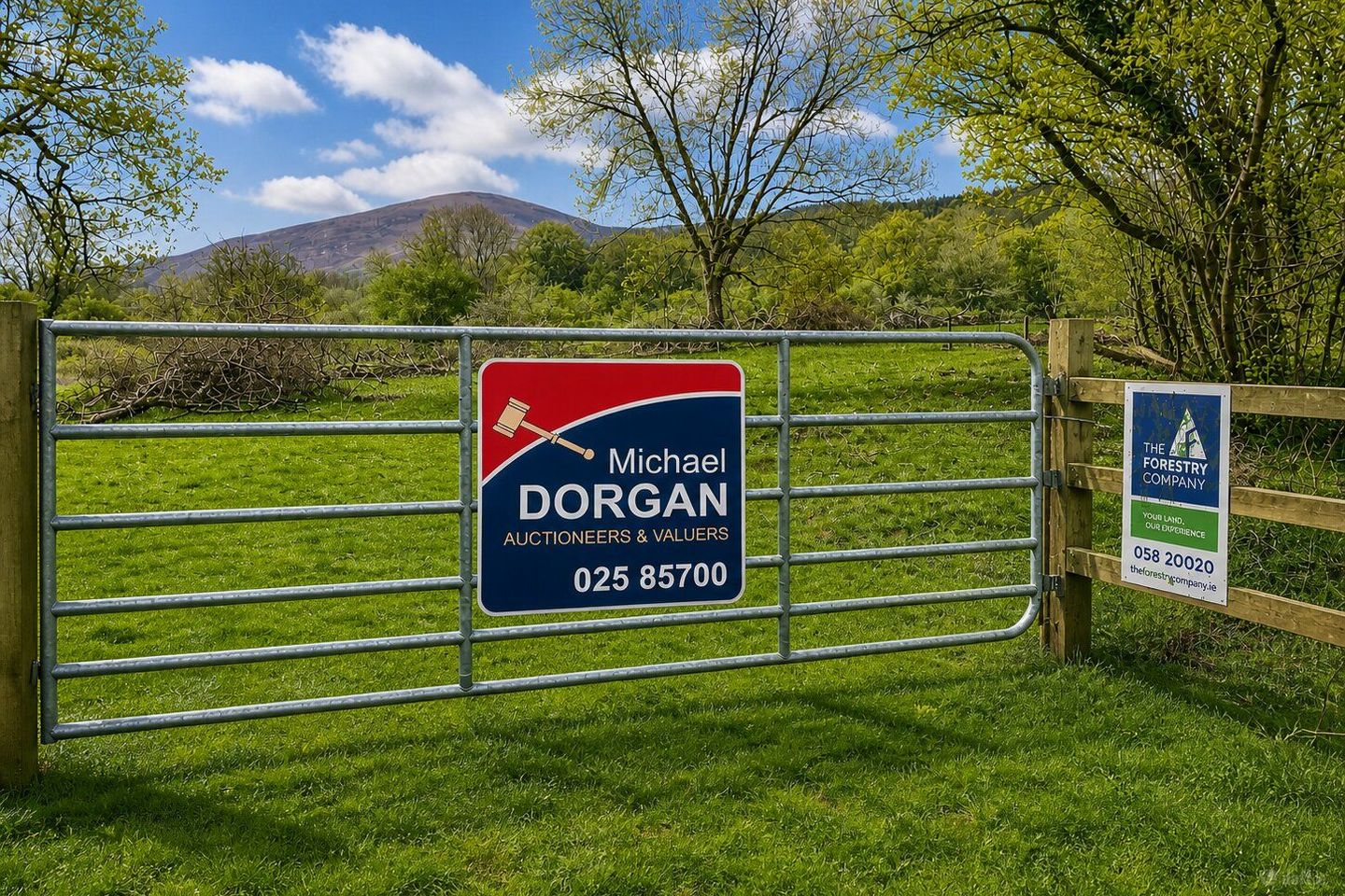 c.53 acres Forrest, Rearoe, Clogheen, Co. Tipperary
