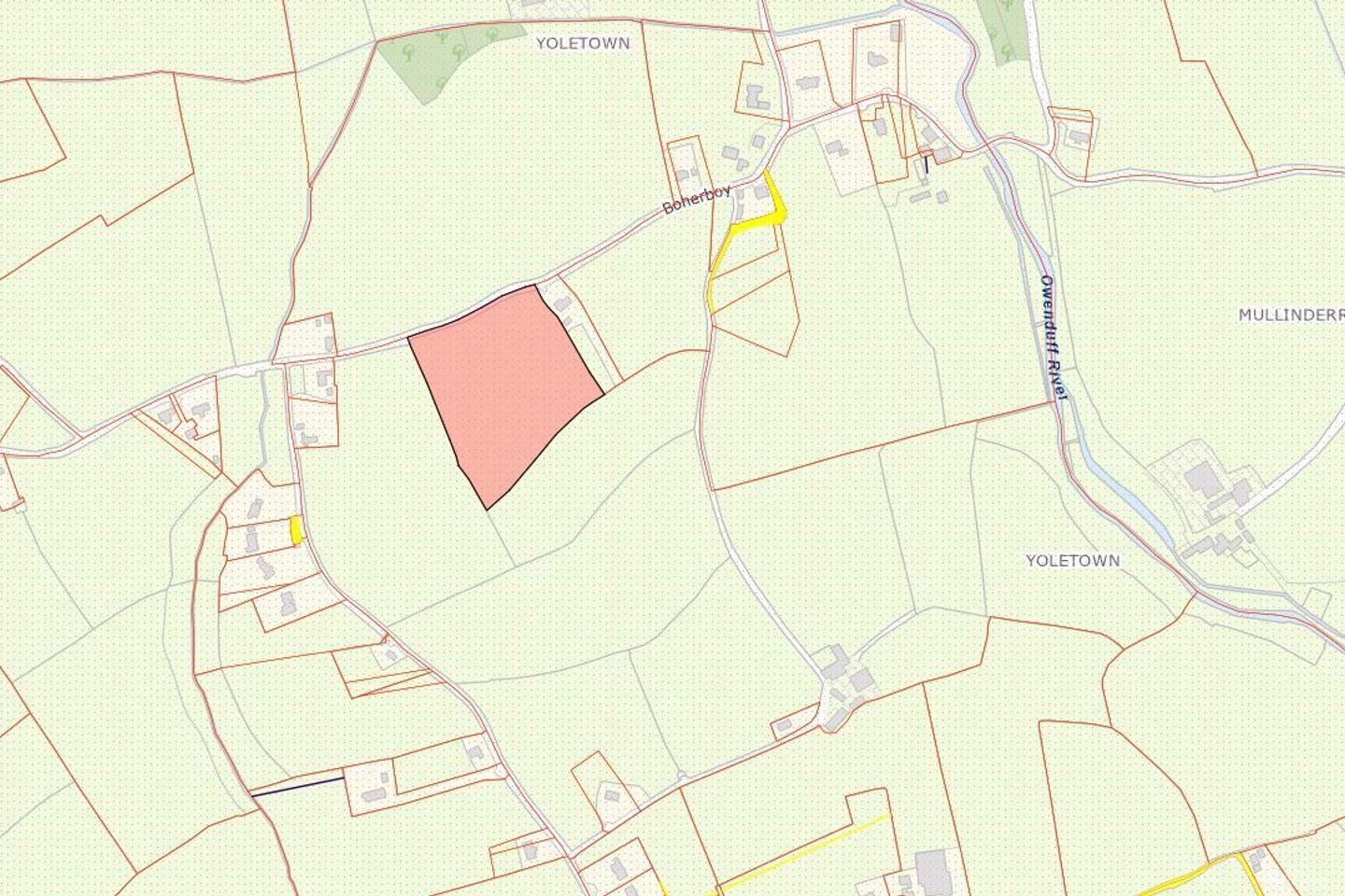 Boher Boy, Yoletown, Ballycullane, Co. Wexford