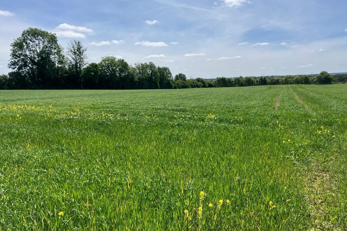 Clonmore, Tullamore, Co. Offaly