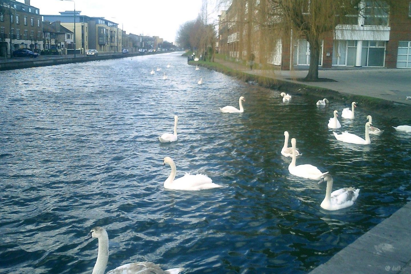 Portobello, Portobello, Dublin 8