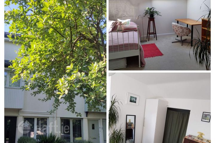 Single Room for one female available Sun - Thurs - Sandymount, Dublin 4, Sandymount, Dublin 4