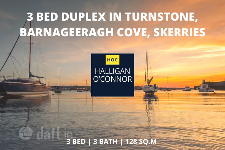 Turnstone, Barnageeragh Cove, Skerries, Co. Dublin