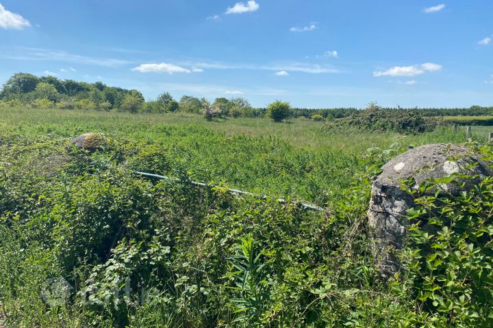 Swordlestown South, Naas, Co. Kildare