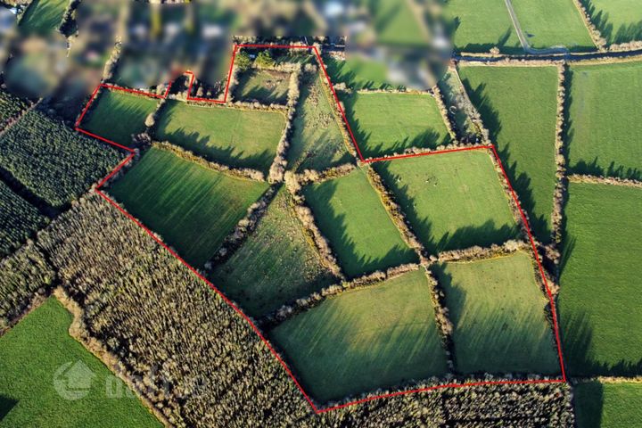 Premium c. 20.07 Acres Holding at Littletown, Tomhaggard, Co. Wexford