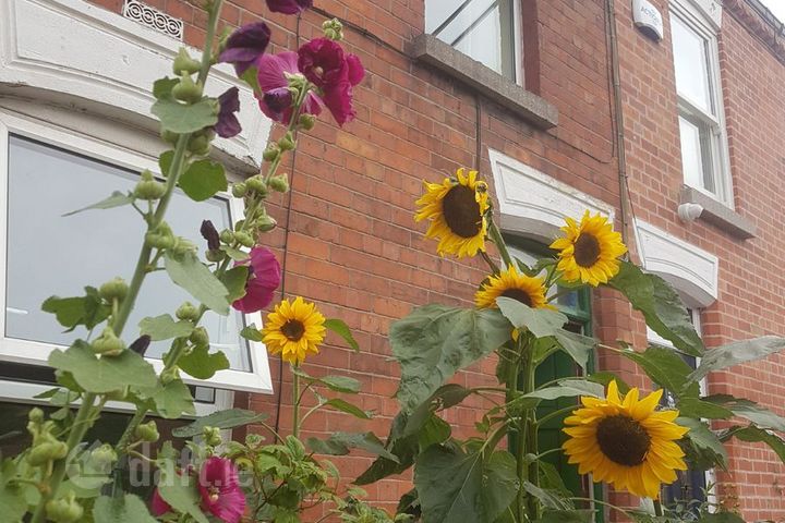 Reuben Avenue, Dublin 8
