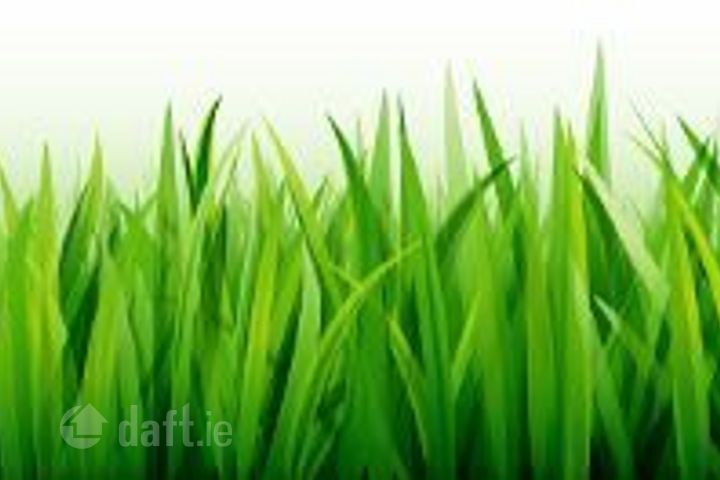 Ballyglass, Ballinagare, Castlerea, Co. Roscommon