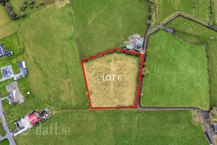 Lot 6 (c. 3.75 Acres), Lemanaghan, Ballycumber, Co. Offaly
