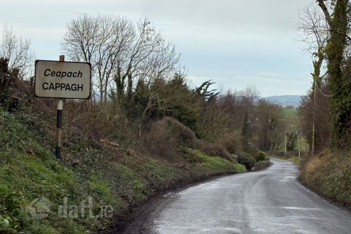 Ballyhomock, Cappagh, Co. Limerick