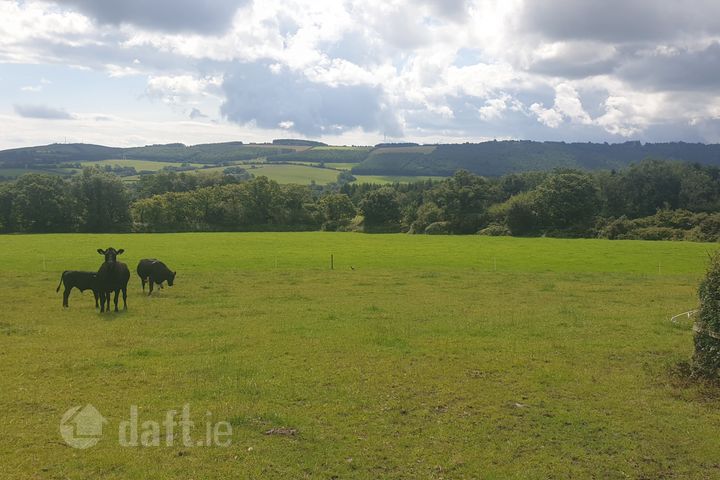 Ballyknocken Beg, Ashford, Co. Wicklow