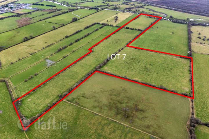 Lot 7 (c. 26 Acres), Lemanaghan, Ballycumber, Co. Offaly