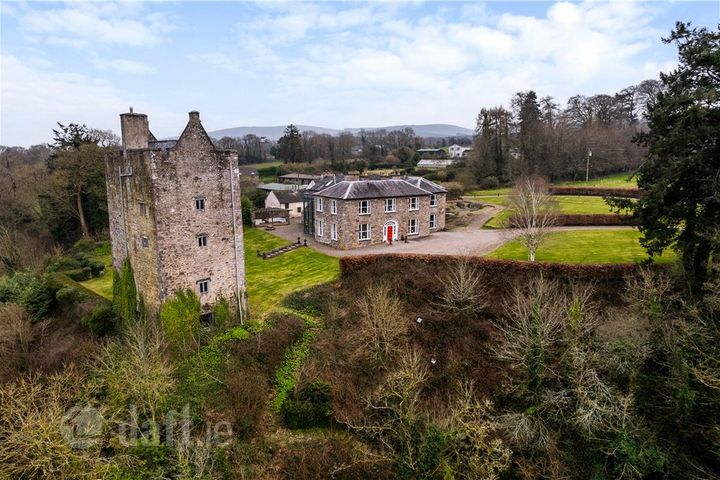 Carrigacunna Castle, Killavullen, Mallow, Co. Cork, P51X043