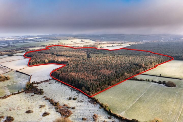 Letter, Cadamstown, Co. Offaly