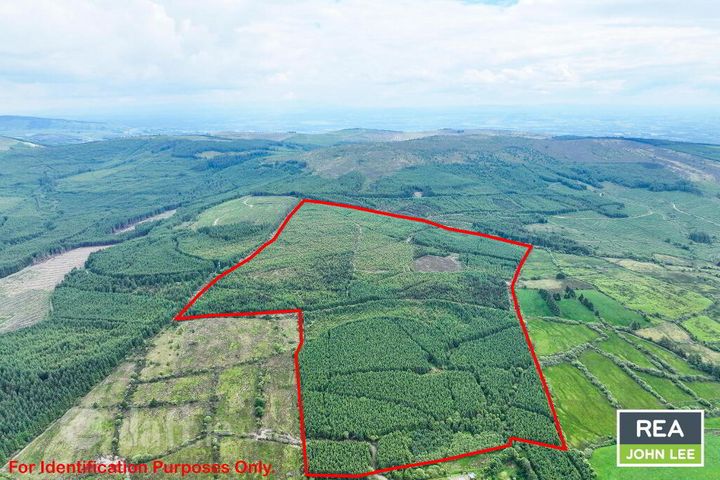 Glenoe, Newport, Co. Tipperary