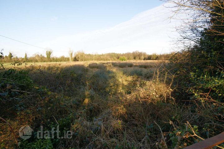 Ballinlass, Mountbellew, Mount Bellew, Co. Galway