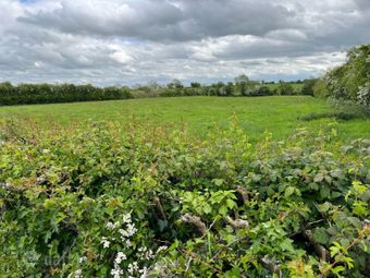 Alexanderaide, Kentstown Road, Navan, Co. Meath