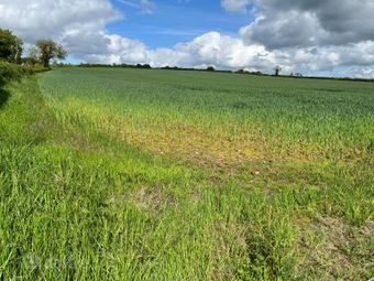 Alexanderaide, Navan, Co. Meath