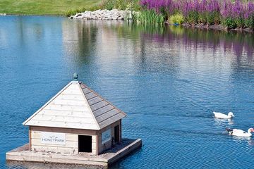 Property header