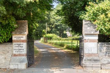 Property Header