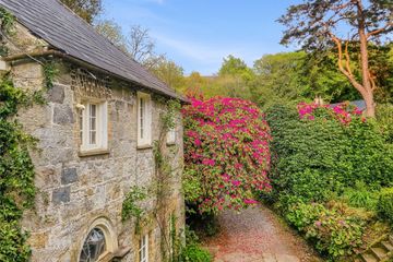 Property Header
