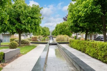 Property header