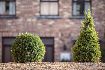 Property Header