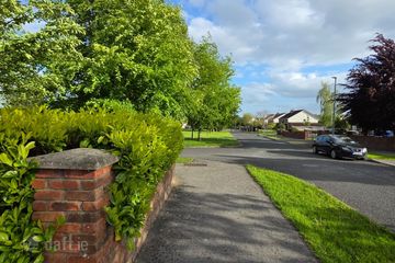 Property header