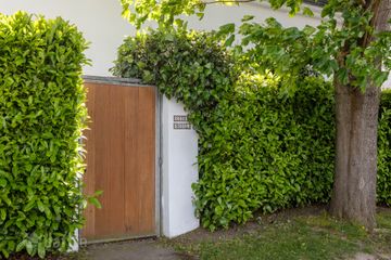 Property header