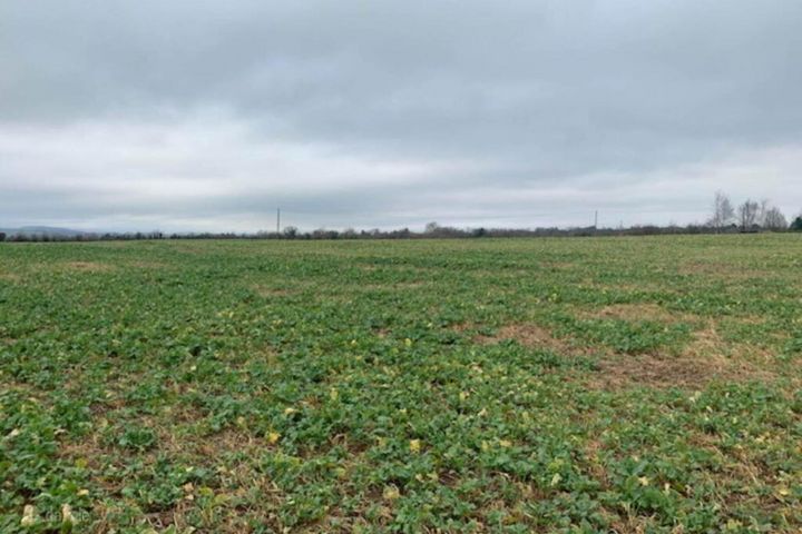 9 Acres, Boolagelagh, Ballycommon, Co. Tipperary