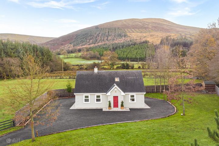 Rustyduff Lower, Knockanarrigan, Donard, Co. Wicklow, W91PK31