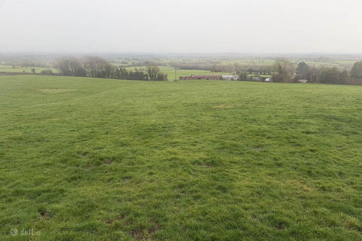 C. 9 Acres At Boulerea, Knock, Roscrea, Co. Tipperary