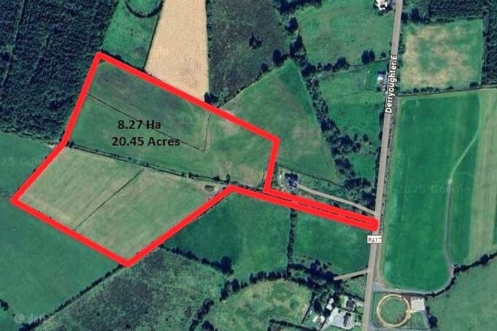 20.45 Acres / 8.276 Hectares At, Derryoughter East, Kildangan, Co. Kildare