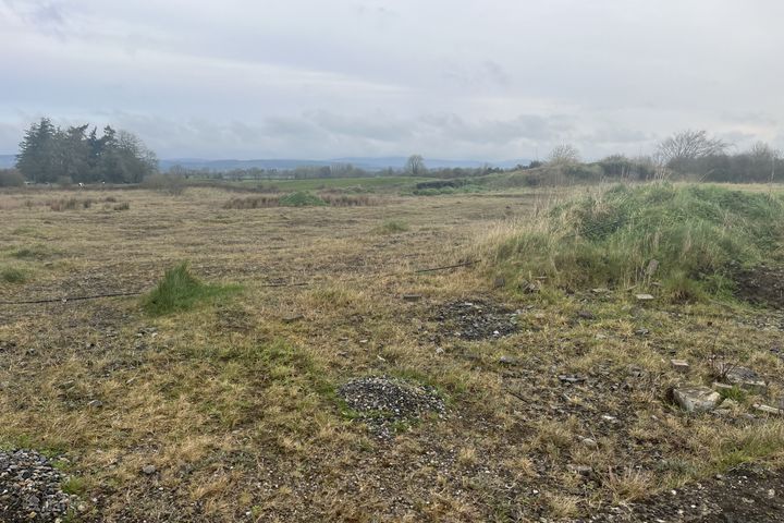 Glenall Rock Road, Borris-in-Ossory, Co. Laois