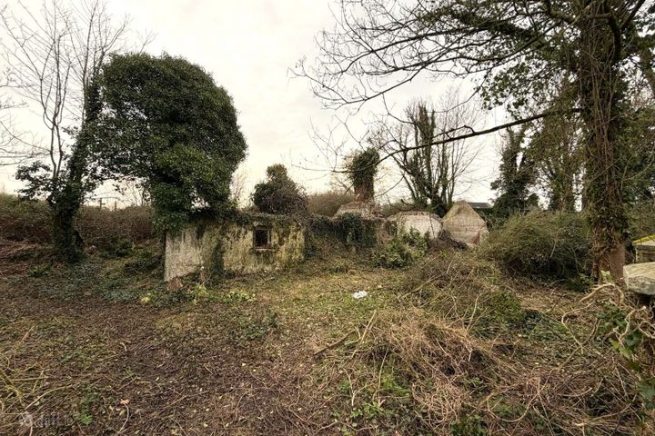 Coolnafearagh, Monasterevin, Monasterevin, Co. Kildare, W34WT18