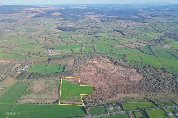 Islandmore, Gort, Co. Galway