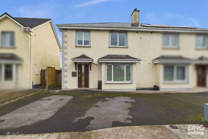 19 The Paddock, Athleague, Co. Roscommon, F42RR59