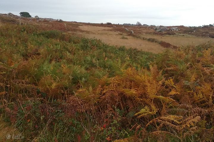 Ballywilliam, Spiddal, Co. Galway