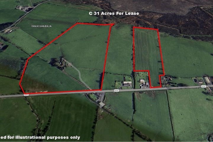 Cooldoney, Abbeylara, Co. Longford