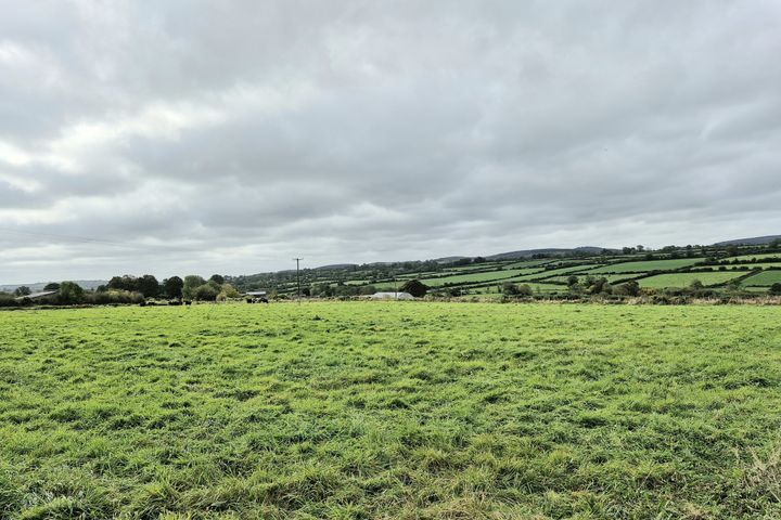 Lukeswell Mullinavat Co Kilkenny, Lukeswell, Co. Kilkenny