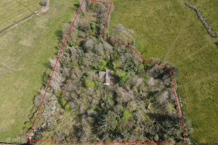 Leitrim Lower, Eslin, Co. Leitrim, N41A6K0