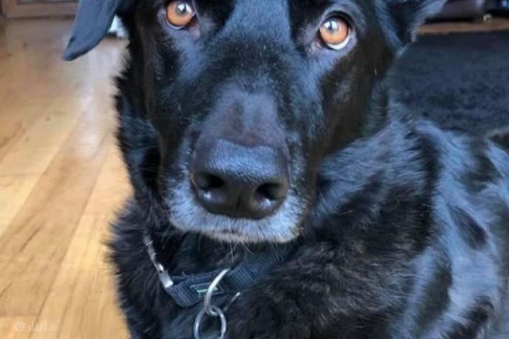 D03RF96, Dollymount, Dublin 3