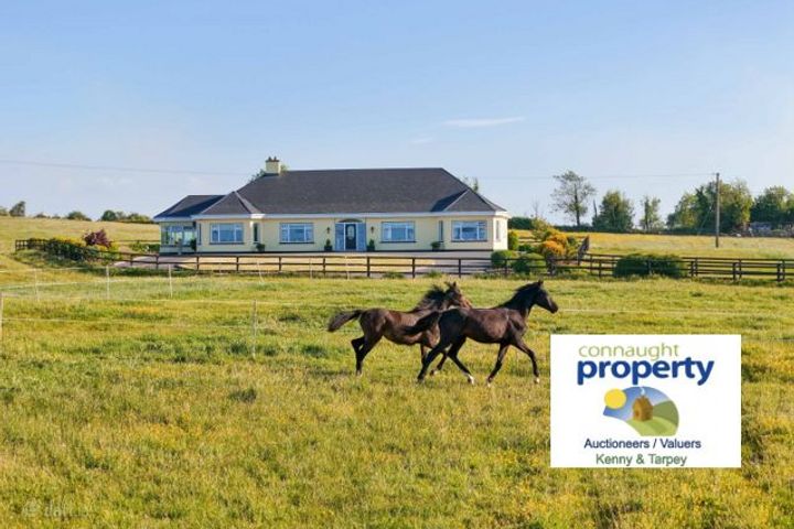 Doogary, Aghamore, Ballyhaunis, Co. Mayo, F35Y667