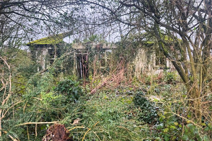 Derelict Cottage, Ramsgrange, Co. Wexford