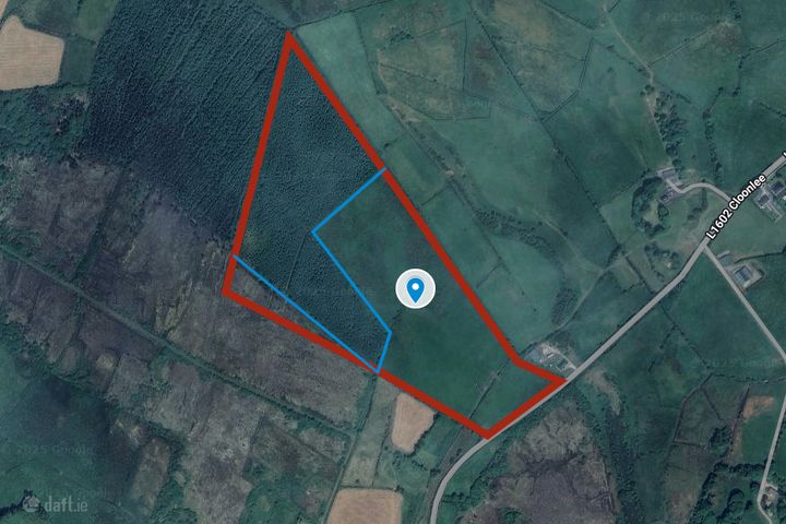 Ballybane Lower, Ballinlough, Co. Roscommon