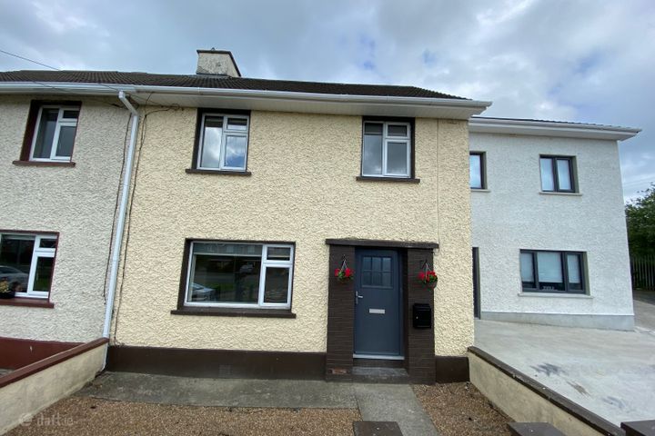 The Swan,Co. Laois, Swan, Co. Laois