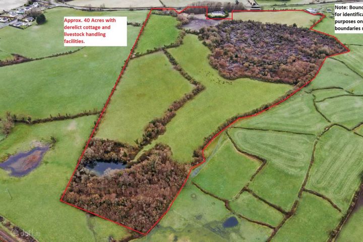 Cloonahaha, Gort, Co. Galway