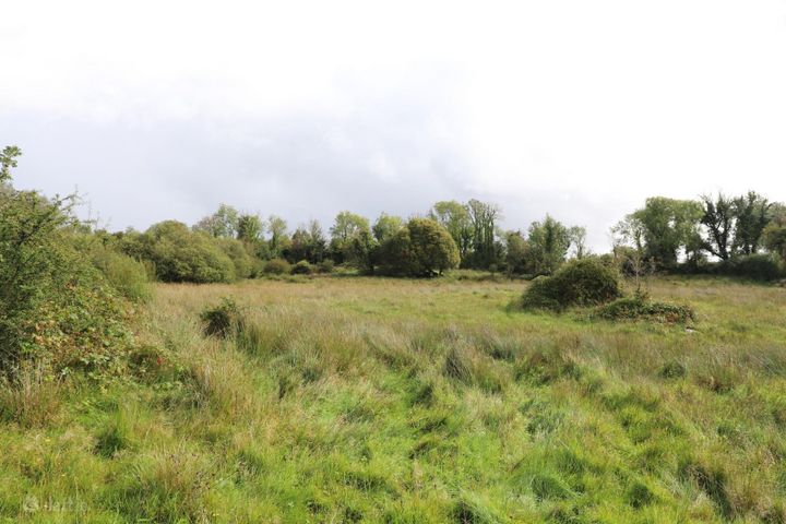 6.20 Acres, Derrycallan South, Gort, Co. Galway