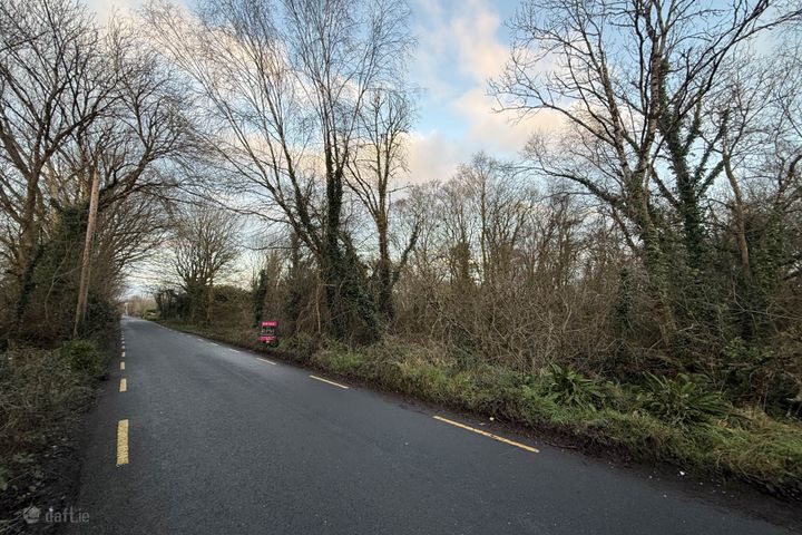 Garden Hill, Castleconnell, Co. Limerick